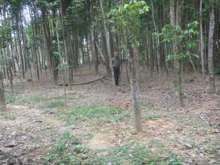 Giật mình với những 'tỷ phú' chân đất làm giàu nhờ gió trầm ảnh 2