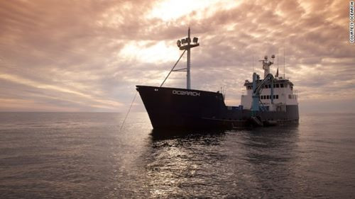 Con tàu khoa học Ocearch