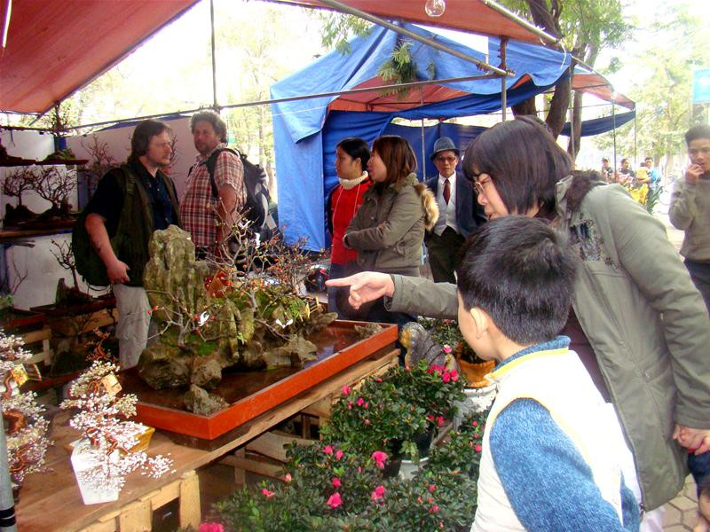 Hồng mai - loại hoa thu hút nhiều người xem, tuy nhiên giá của một cây hồng mai không mềm" chút nào: 600 - 700 đồng/cây nhỏ, 950 nghìn đến 1 triệu/cây to