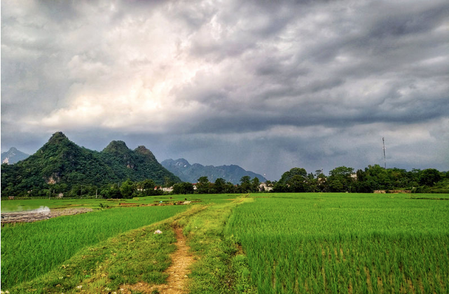 Chi tiết xây dựng tỷ lệ 1/500 Quần thể khu đô thị sinh thái, vui chơi giải trí cao cấp và hệ thống cáp treo Cuối Hạ được UBND tỉnh Hòa Bình phê duyệt.