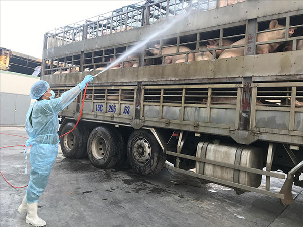 Thủ phủ heo Đồng Nai: Nơm nớp lo dịch tràn về ảnh 1