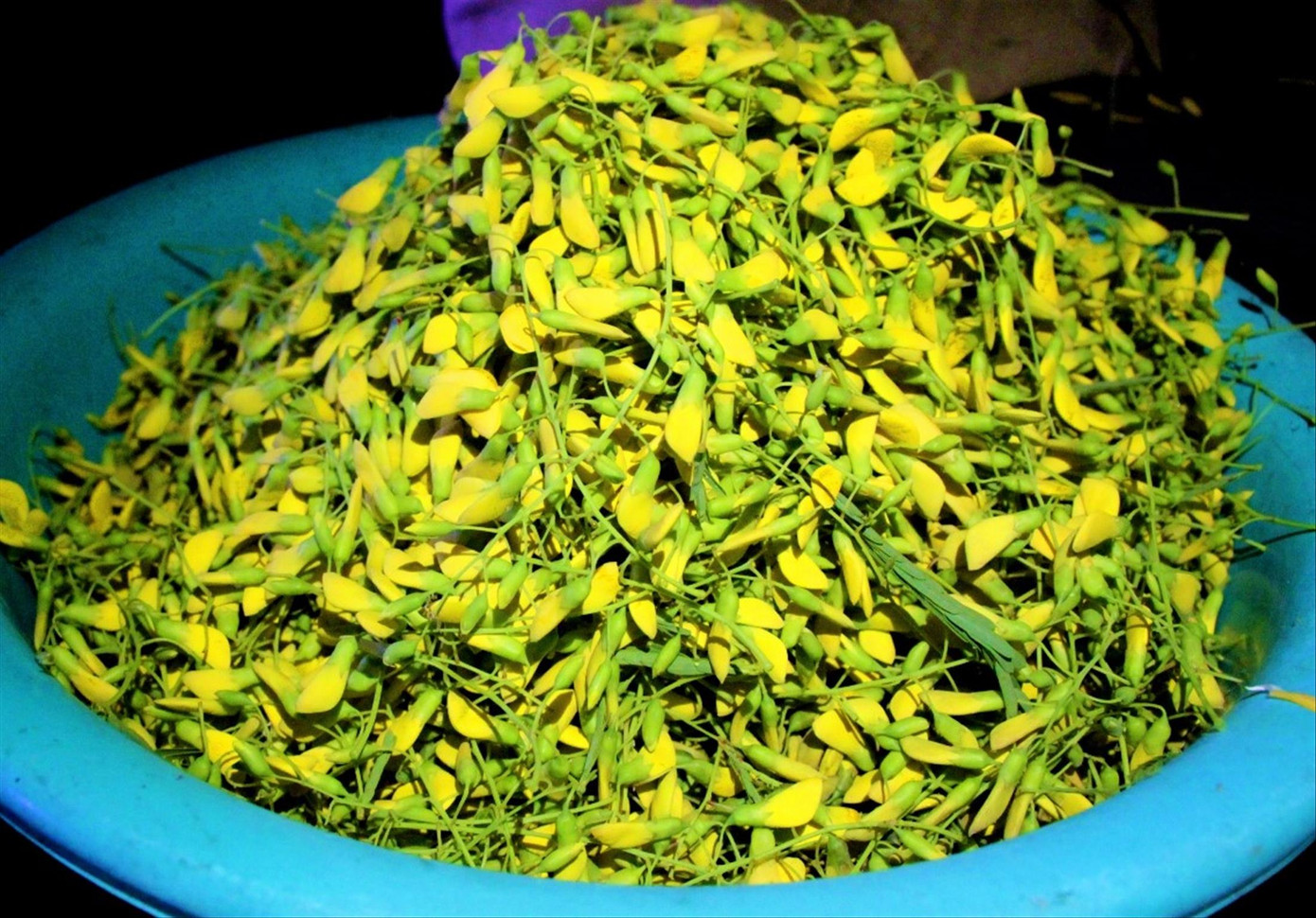 Xuyên đêm hái bông điên điển ảnh 2