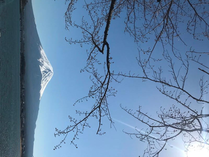 Phú Sĩ muôn vẻ ảnh 2