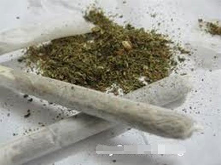 Thuốc “cỏ”. Ảnh minh họa . Thuốc “cỏ”. Ảnh minh họa