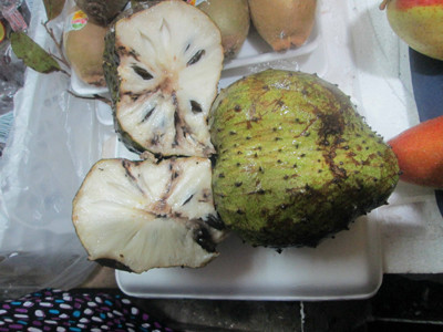 Từ lâu mãng cầu xiêm được lưu truyền trong dân gian như là một thứ quả chữa được nhiều bệnh, trong đó có khả năng làm tiêu tan các khối u