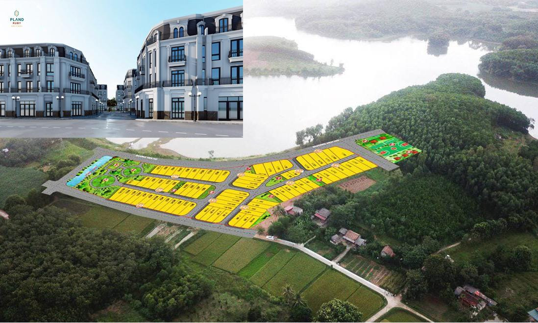 Hình ảnh mặt bằng quy hoạch chia lô và phối cảnh dự án nhà ở PLand Ruby Sao Vàng tại xã Thọ Sơn (Triệu Sơn, Thanh Hoá) được đăng tải quảng cáo tại website plandvietnam.com. Hình ảnh mặt bằng quy hoạch chia lô và phối cảnh dự án nhà ở PLand Ruby Sao Vàng tại xã Thọ Sơn (Triệu Sơn, Thanh Hoá) được đăng tải quảng cáo tại website plandvietnam.com.