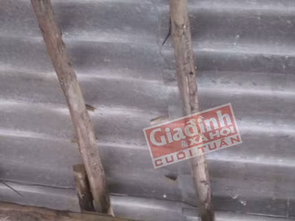 Những cây cọc trừ tà được đóng trên mái ngói nhà bà Chính