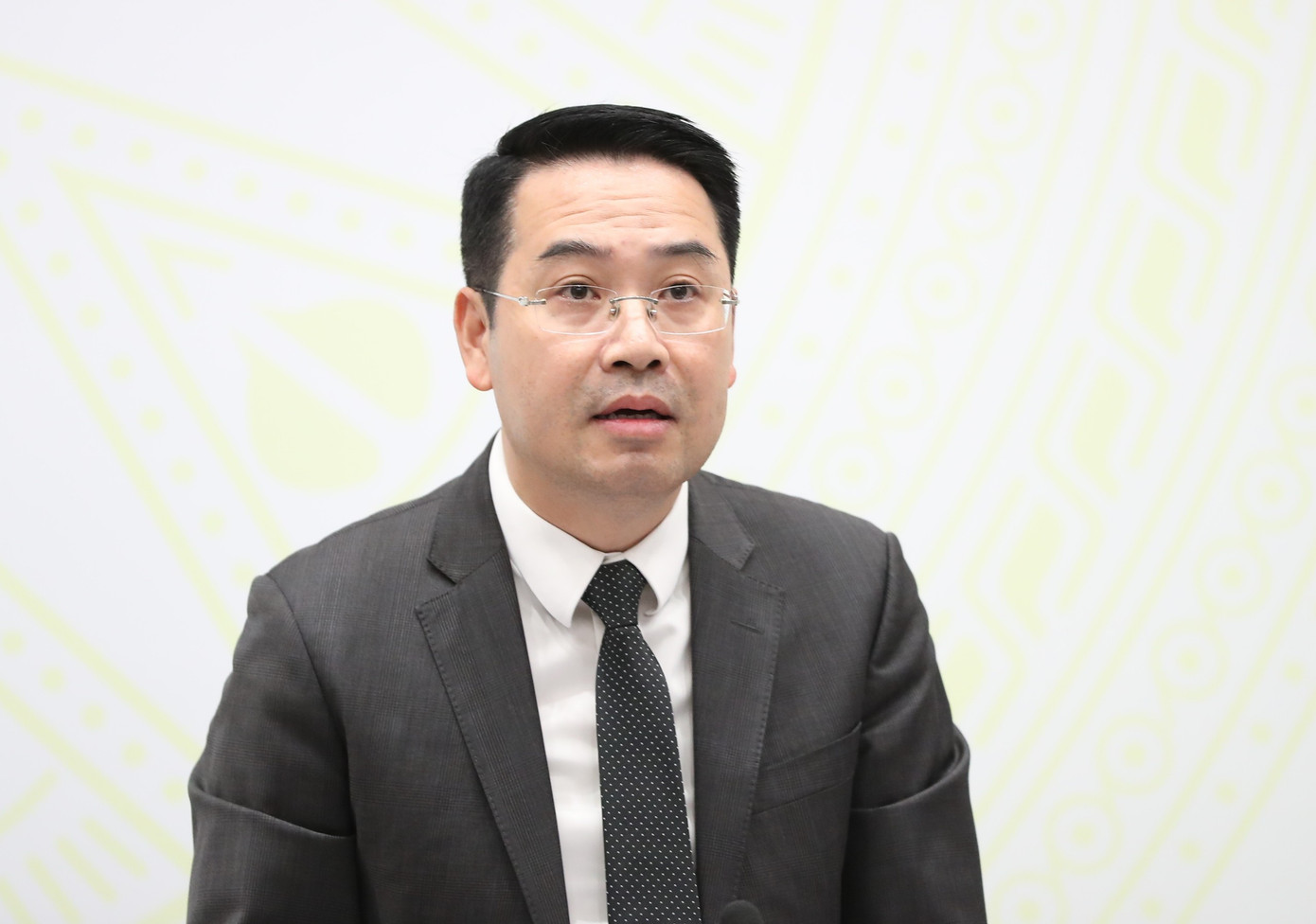 Phó Trưởng Ban Công tác đại biểu Nguyễn Tuấn Anh. Ảnh: Như Ý