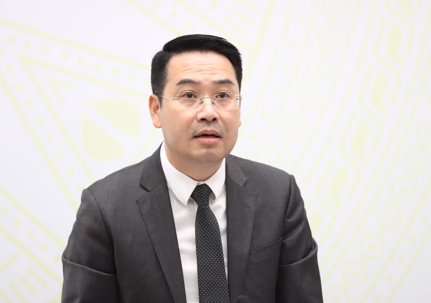 Phó Trưởng Ban Công tác đại biểu Nguyễn Tuấn Anh. Ảnh: Như Ý Phó Trưởng Ban Công tác đại biểu Nguyễn Tuấn Anh. Ảnh: Như Ý