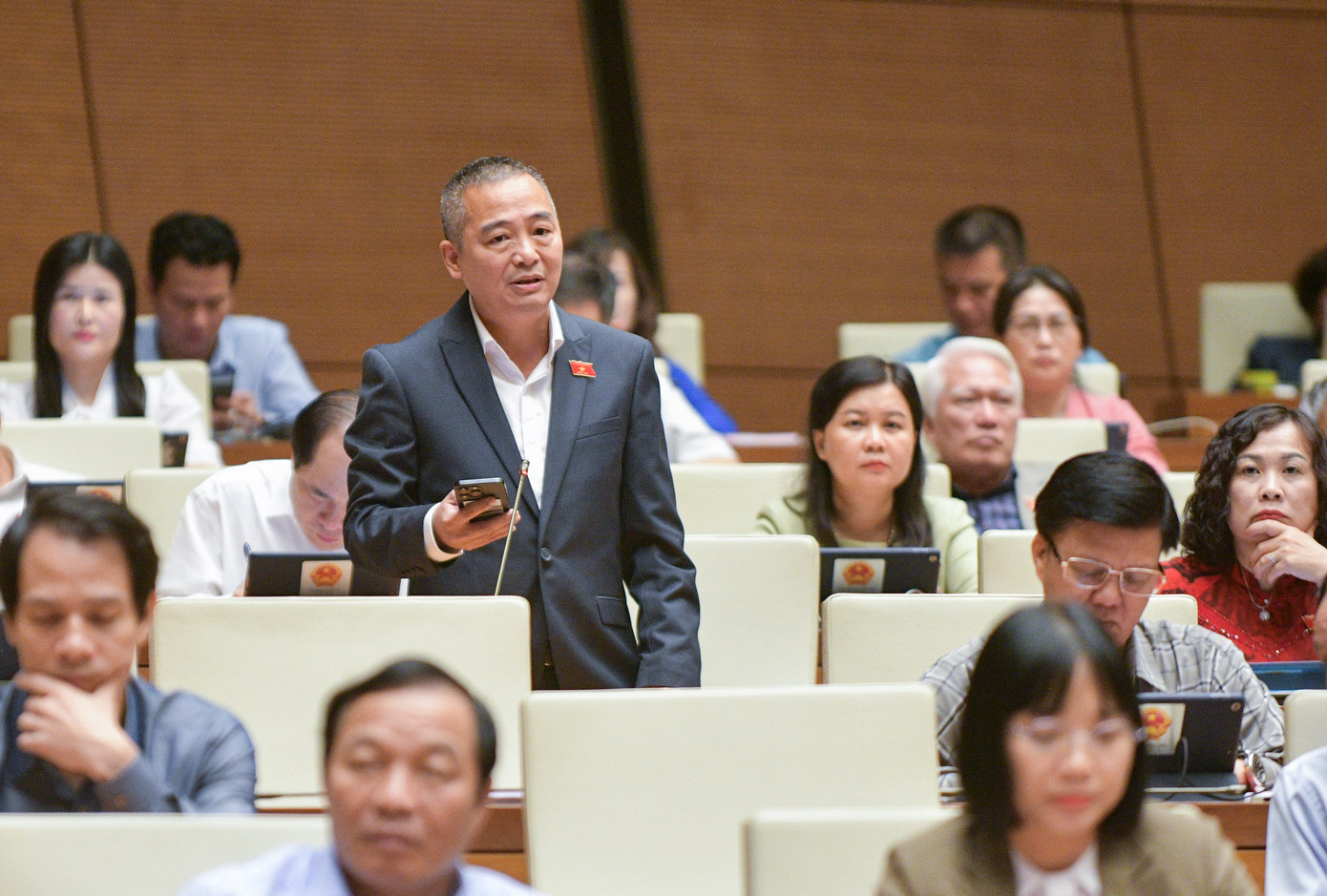 Đại biểu Nguyễn Lân Hiếu (Đoàn Bình Định)