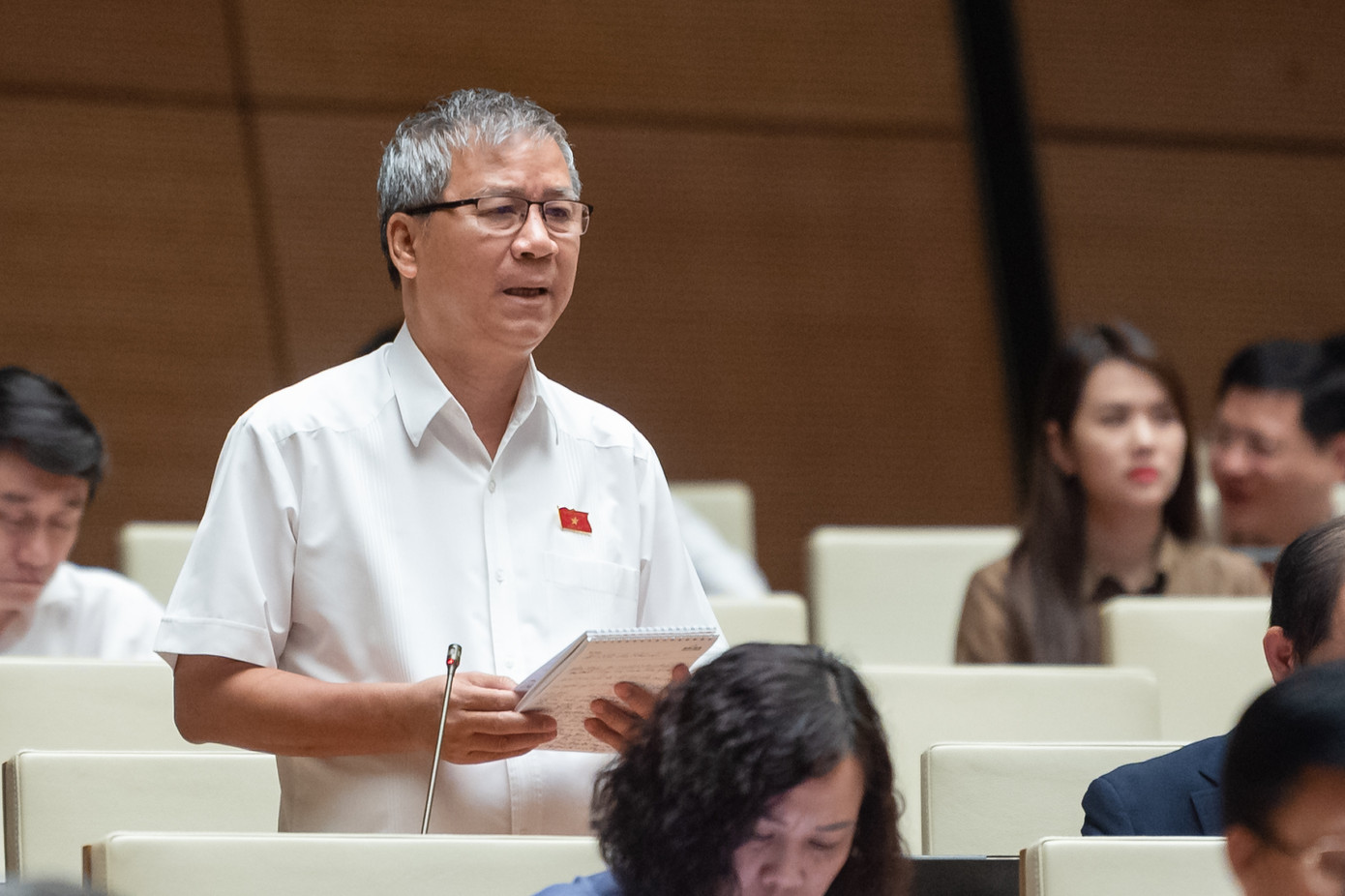 Đại biểu Nguyễn Anh Trí (Đoàn Hà Nội)