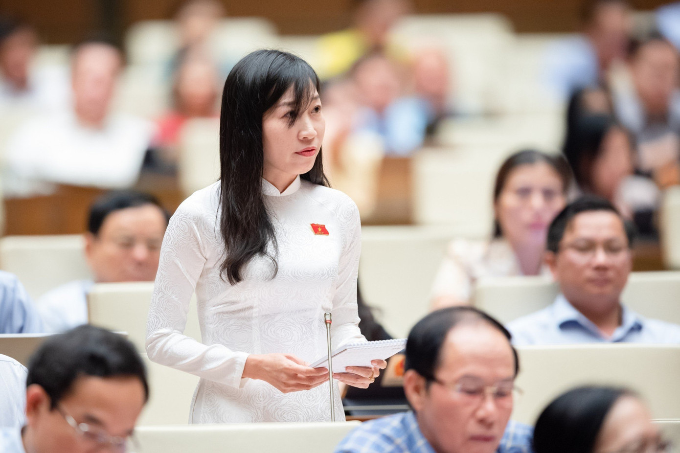 ĐBQH Hoàng Thị Thanh Thuý (Tây Ninh)