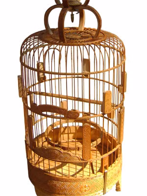 Chiếc lồng chim trị giá 10 triệu đồng