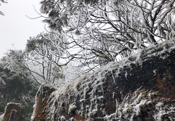 Người dân Thủ đô đổ xô lên Sapa ngắm tuyết ảnh 16