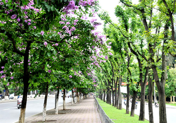 Phố Kim Mã luôn là điểm đến của các bạn trẻ thích chụp ảnh