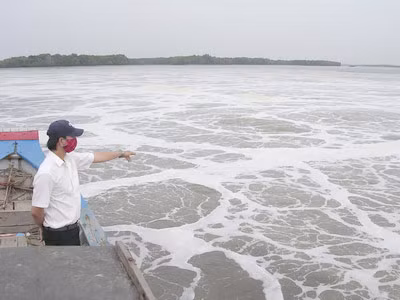 Vedan, thủ phạm chính biến sông Thị Vải thành dòng sông ô nhiễm nghiêm trọng, gây thiệt hại lớn cho nông dân. Vedan, thủ phạm chính biến sông Thị Vải thành dòng sông ô nhiễm nghiêm trọng, gây thiệt hại lớn cho nông dân