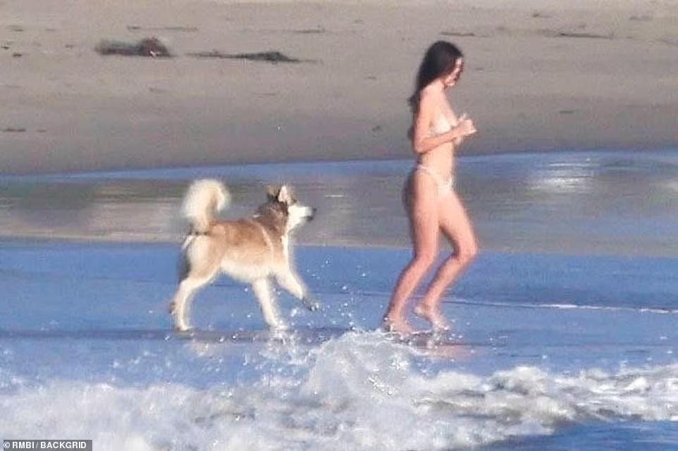 Camila Morrone vui đùa trên biển cùng chú chó cưng của cặp đôi có tên là Jack.