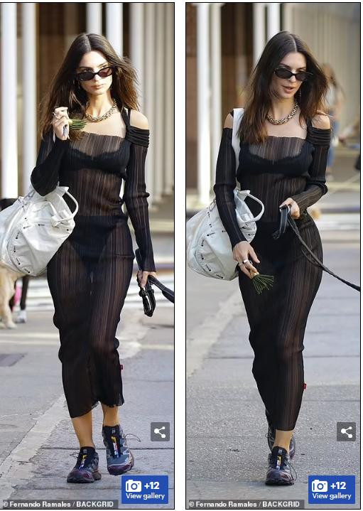 Emily Ratajkowski được trông thấy dắt chó cưng đi dạo trên phố với chiếc váy đen trong suốt lộ rõ nội y...