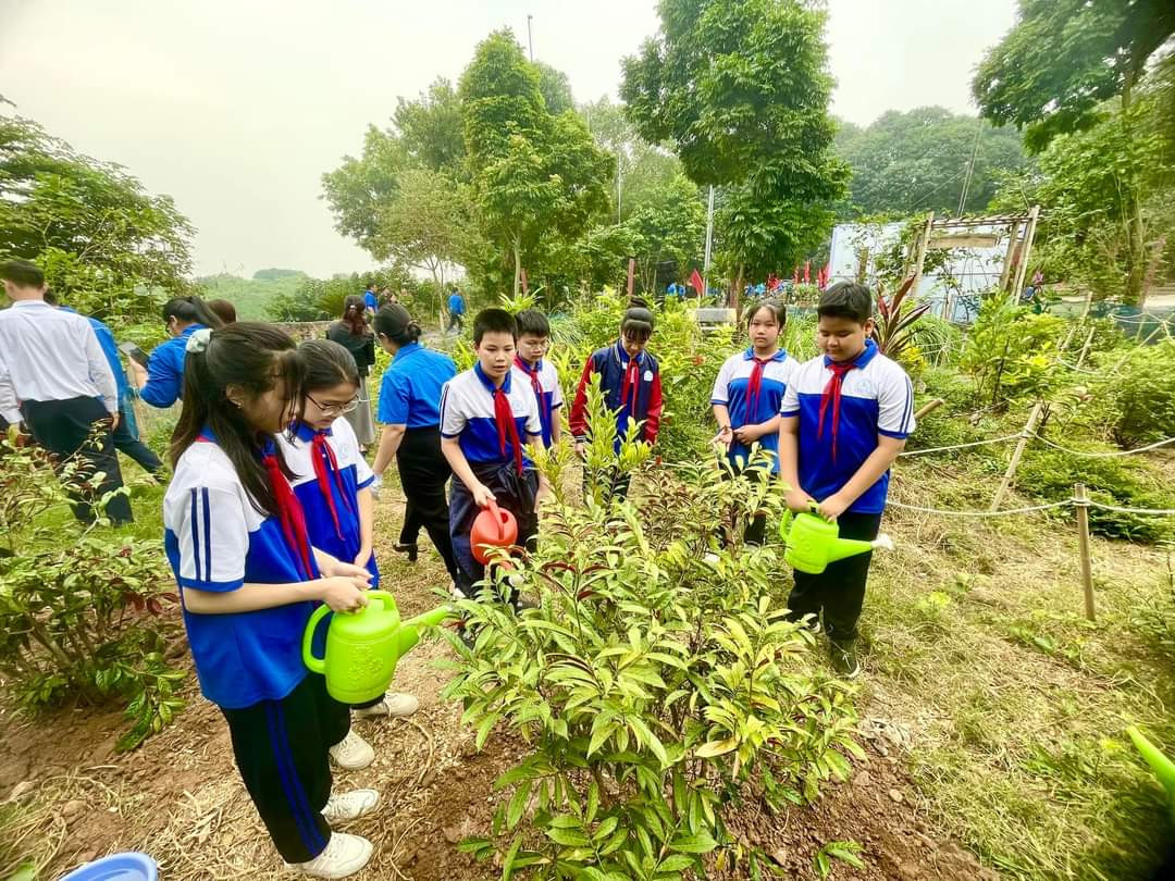 Học sinh THCS Chương Dương chăm sóc cây xanh Học sinh THCS Chương Dương chăm sóc cây xanh