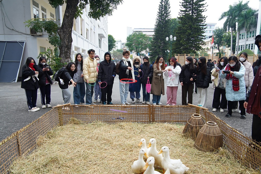 Tìm vận may trong trò chơi bắt vịt