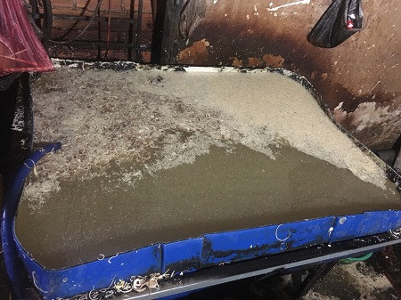 Kinh hoàng bắp chuối được 'tắm trắng' bằng hóa chất ảnh 1