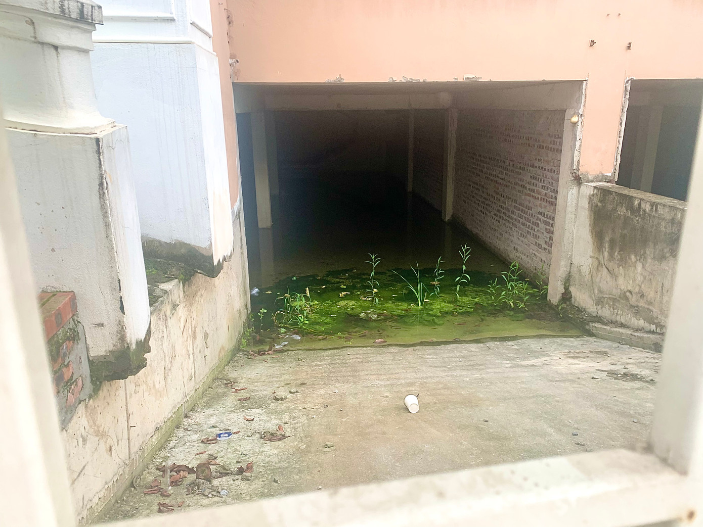 Một số hầm biệt thự trở thành nơi đọng nước thành bể nước lớn.