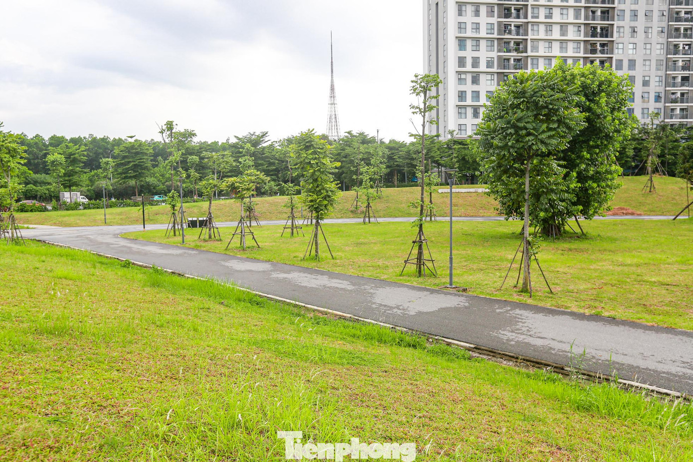 Theo ghi nhận của PV, hầu hết các hạng mục đều được hoàn thiện, xung quanh đều được bao phủ màu xanh của cây cỏ.