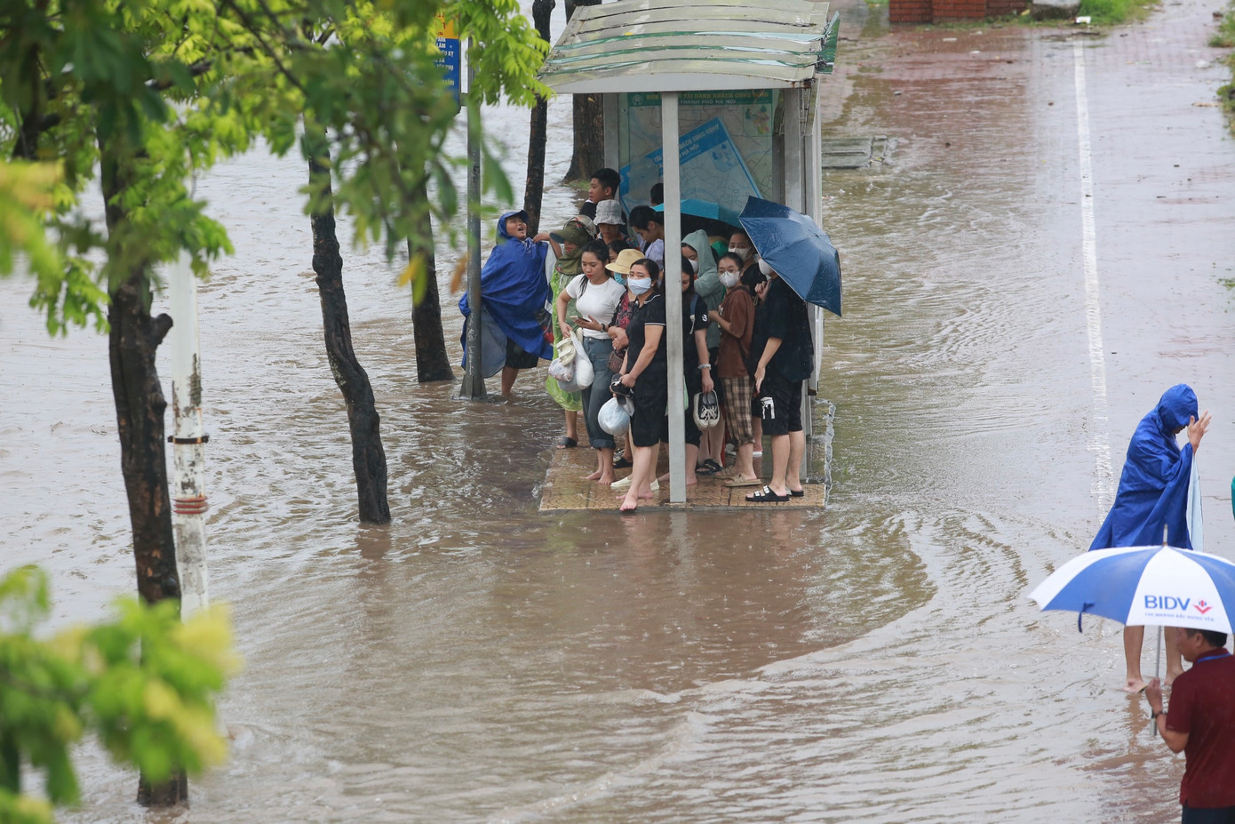 Nhà chờ xe buýt bị cô lập giữa biển nước.