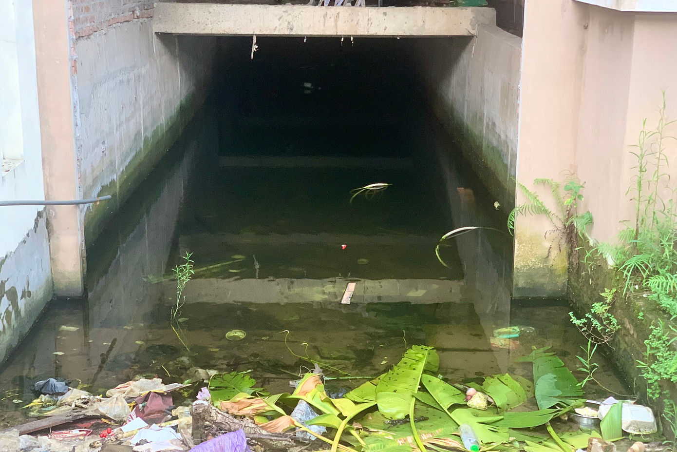 Hầu hết các hầm nước đều ngập nước, thậm chí xuất hiện cả đàn cá tung tăng bơi lội.