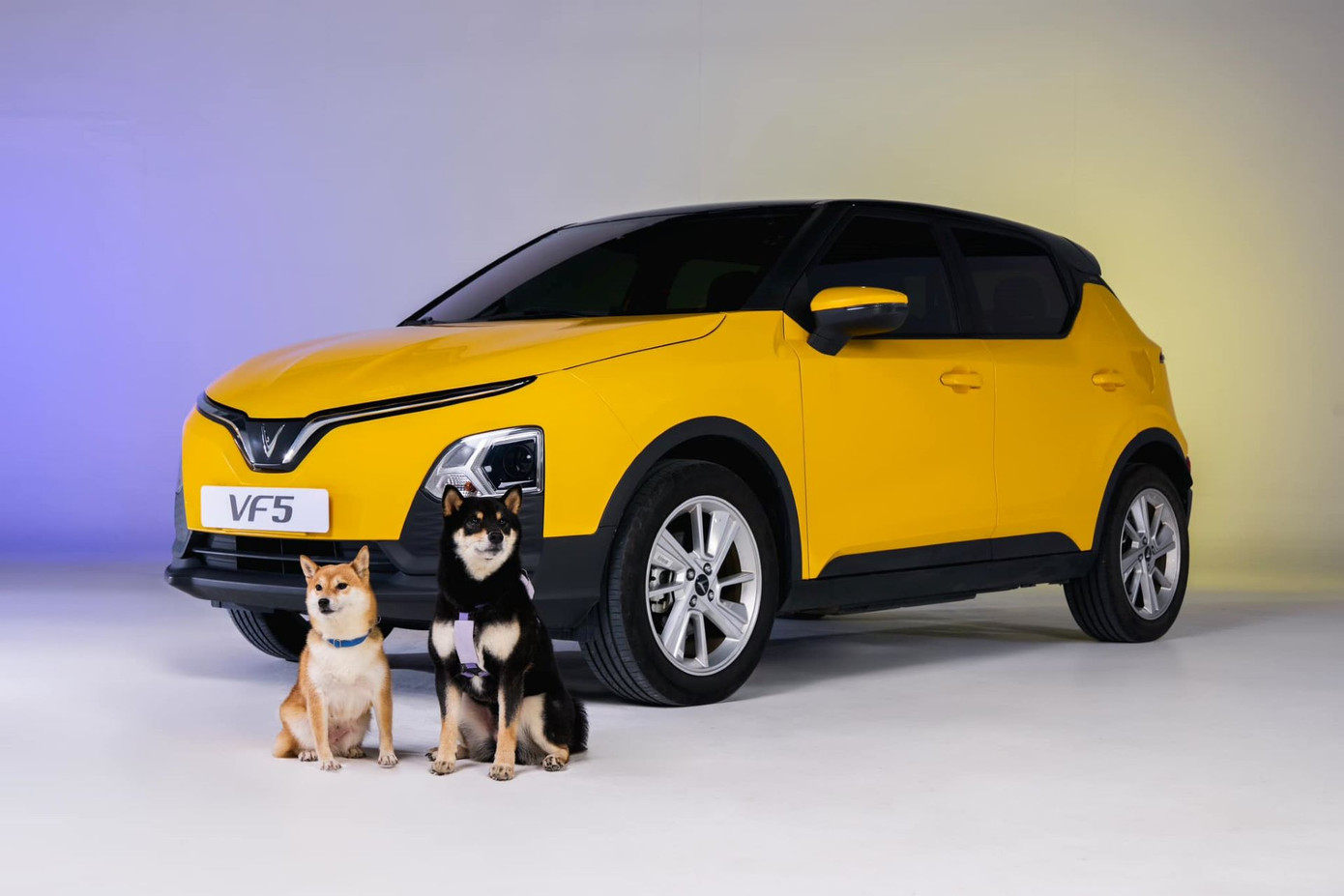 Màu sắc và thiết kế năng động của VF 5 Plus. Màu sắc và thiết kế năng động của VF 5 Plus.