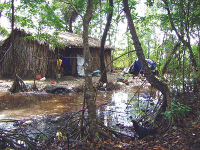 Ngôi nhà của bà Danh Thị Luốt càng trống vắng mỗi khi chiều xuống vắng bóng con