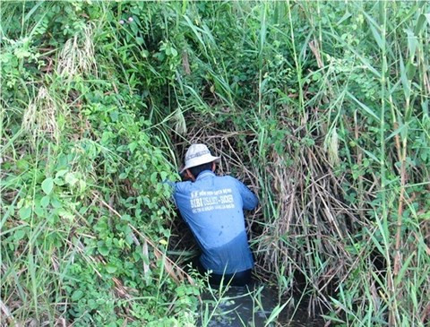 Đánh đu mạng sống để “thu phục” rắn độc ảnh 1