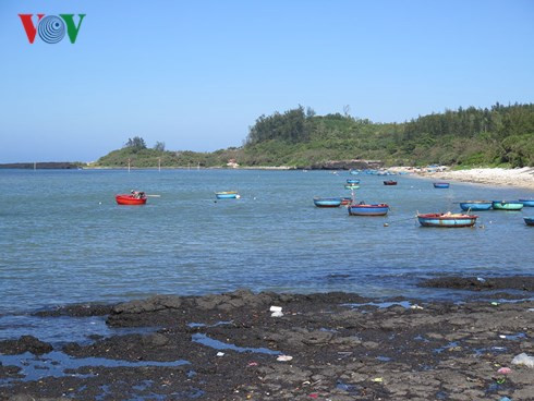 Quảng Ngãi giải thích về dự án du lịch FLC Bình Châu-Lý Sơn ảnh 1