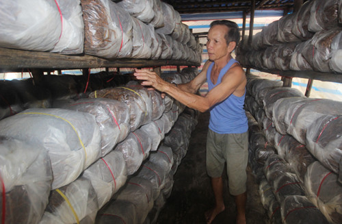 Vùng quê biến phế thải rơm rạ thành tiền ảnh 1