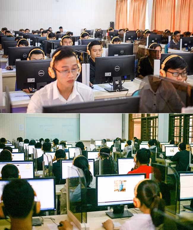 Ngành Công nghệ Thông tin (IT) chưa bao giờ “hạ nhiệt” ảnh 1