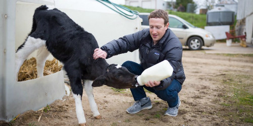 Facebook tốn hàng triệu USD bảo vệ Mark Zuckerberg mỗi năm ảnh 1