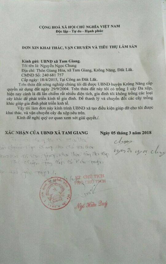 Cây 'quái thú' bị tạm giữ tại Thừa Thiên Huế có nguồn gốc ở đâu? ảnh 1
