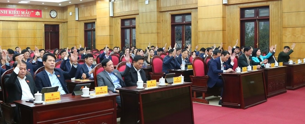 Các đại biểu biểu quyết thông qua các nghị quyết