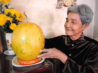 Hiện nay, cứ cách vài ngày, bà Thoại lại dùng khăn ướt lau trái dưa, mong sẽ giữ được lâu. Bà cũng xem đây việc giữ “lộc” trong nhà để gặp nhiều may mắn