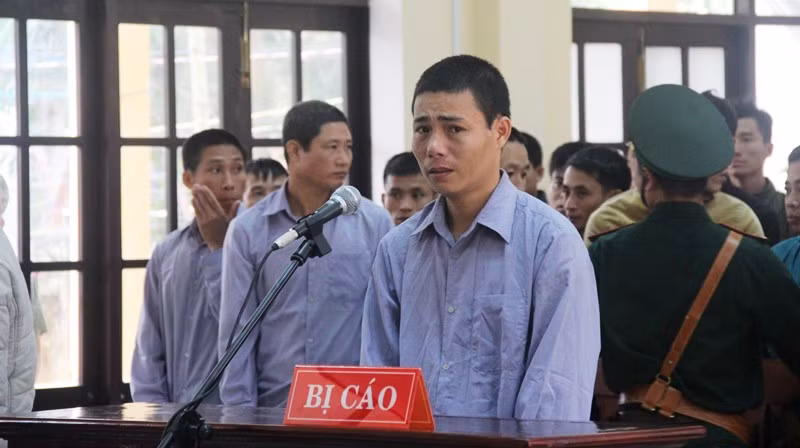 Xét xử vụ phá rừng Pơ mu ở Quảng Nam: Cứ làm tẹt ga, không sao đâu ảnh 3