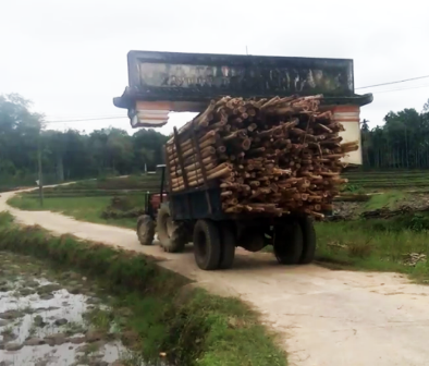 Xe công nông chở keo 'khiêng' luôn cổng làng ở Quảng Nam ảnh 1