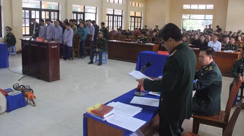 Diễn biến bất ngờ vụ xét xử nguyên đồn phó Biên phòng phá rừng ảnh 2