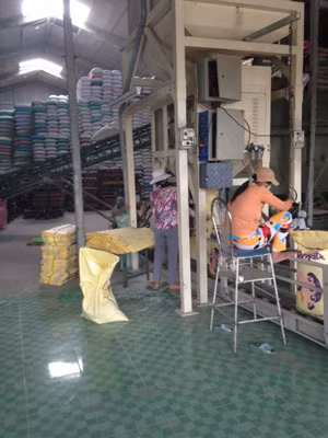 Công nhân tạo màu, tạo mùi và đánh bóng gạo