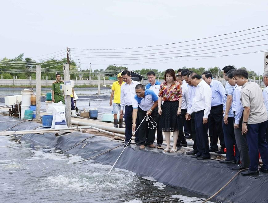 Sáng 1/7, Chủ tịch nước Nguyễn Xuân Phúc tới thăm mô hình nuôi tôm công nghệ cao-bền vững Bảy An 3 tại Trang trại CPF -combine, khu 3,2ha của Công ty Cổ phần chăn nuôi CP Việt Nam tại ấp Thạnh Thơi B, xã Thạnh Hải, huyện Thạnh Phú, tỉnh Bến Tre. (Ảnh: Thống Nhất/TTXVN)