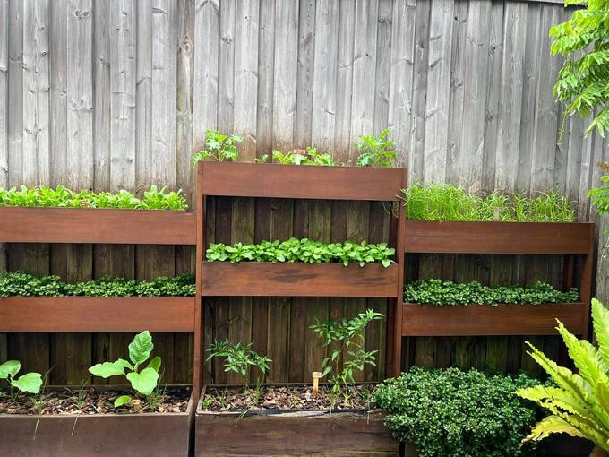 Một góc trong khu vườn nhỏ xanh mướt của gia đình Tăng Thanh Hà (Ảnh: Facebook nhân vật).