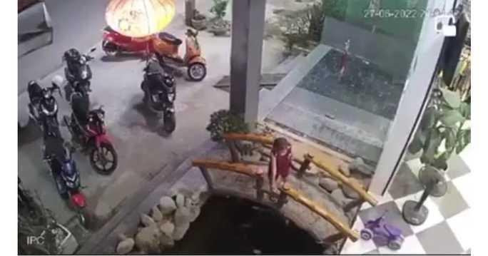 Đi uống cà phê với bố mẹ, cháu bé 4 tuổi rơi xuống bể cá tử vong - Ảnh 1.