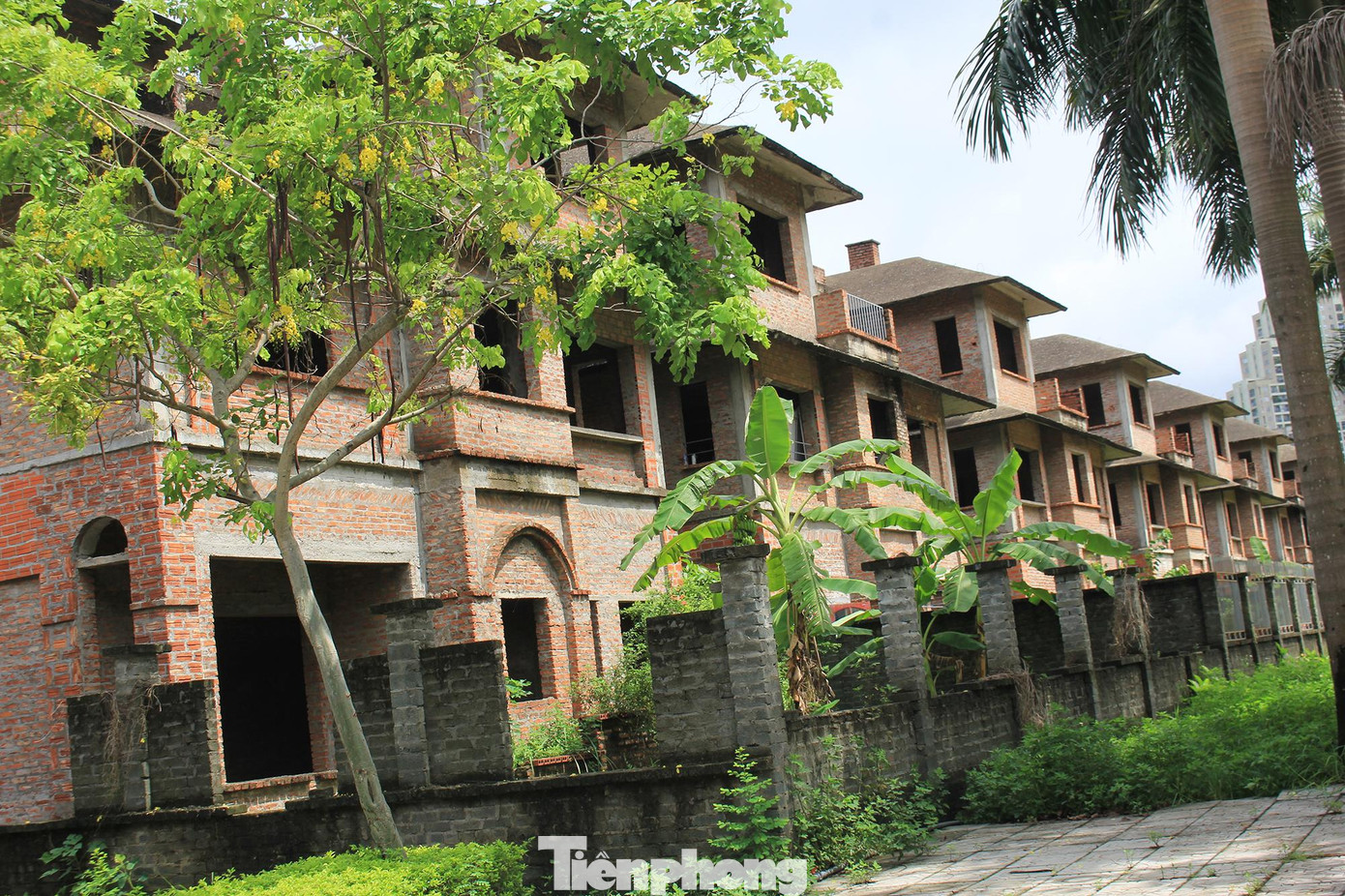 Khu đô thị Hoa Phượng (Hoài Đức) bỏ hoang lâu năm gần đây cũng rậm rịch rao bán nhiều hơn, với mức giá giảm khoảng 5 - 7 triệu đồng/m2 với các căn biệt thự thô, đã xuống cấp. Theo tìm hiểu, giá biệt thự ở khu vực này hiện rơi vào khoảng 70 - 85 triệu đồng/m2, tùy vị trí, lô góc.