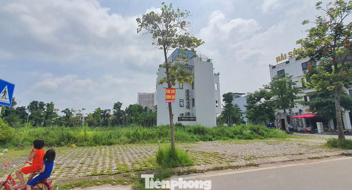 Đất nền gần Khu đô thị Bách Việt (TP Bắc Giang) - nơi được coi là khu đô thị kiểu mẫu của tỉnh này cũng rơi vào tình trạng đìu hiu, vắng bóng nhà đầu tư đến xem.