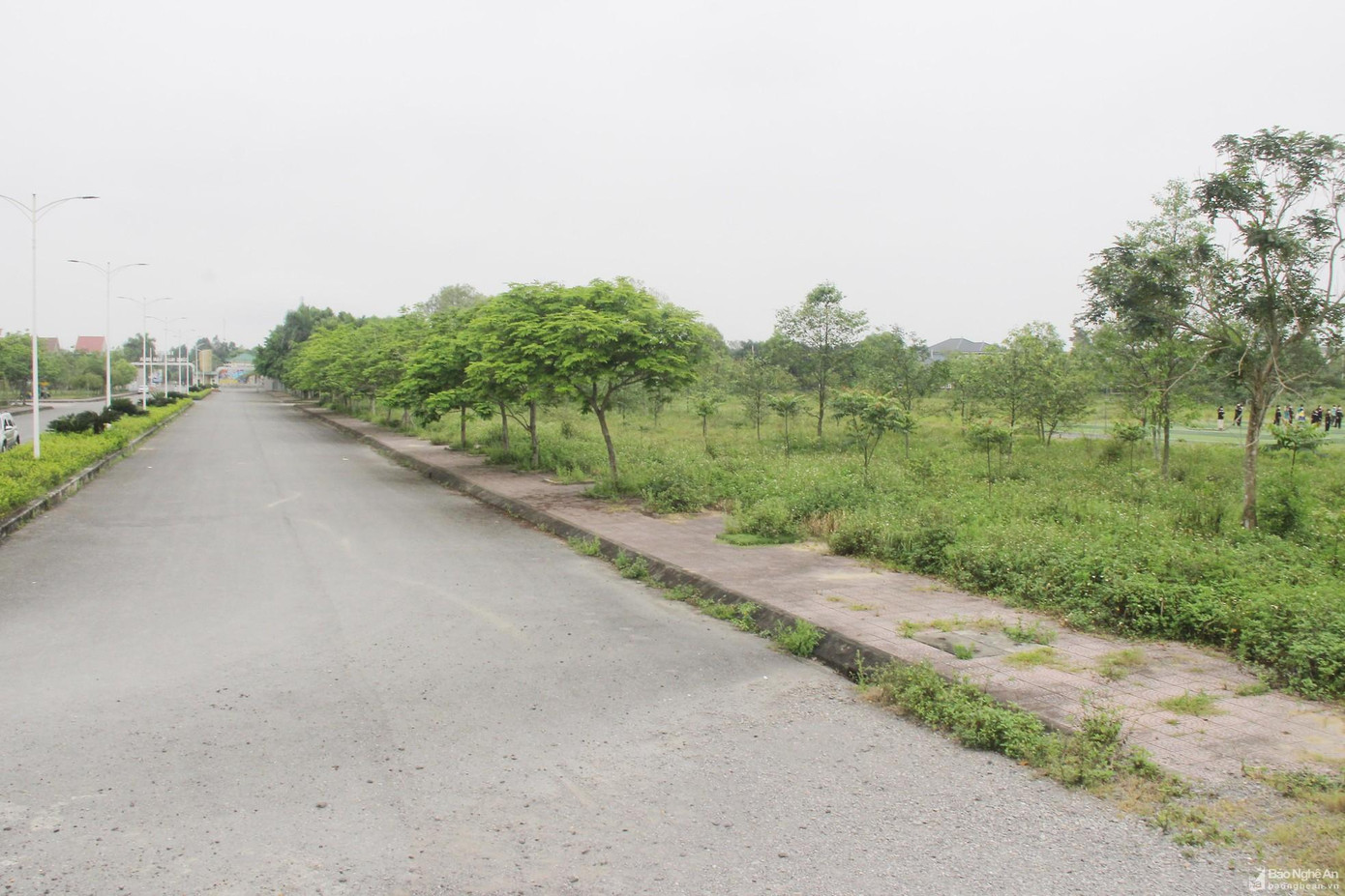 Nghệ An đã chấm dứt hoạt động, thu hồi đất đối với 225 dự án treo, chậm tiến độ, gây lãng phí tài nguyên, tồn đọng thuế với tổng diện tích quy hoạch là 120.821ha trên địa bàn. (Ảnh Mai Hoa) Nghệ An đã chấm dứt hoạt động, thu hồi đất đối với 225 dự án treo, chậm tiến độ, gây lãng phí tài nguyên, tồn đọng thuế với tổng diện tích quy hoạch là 120.821ha trên địa bàn. (Ảnh Mai Hoa)