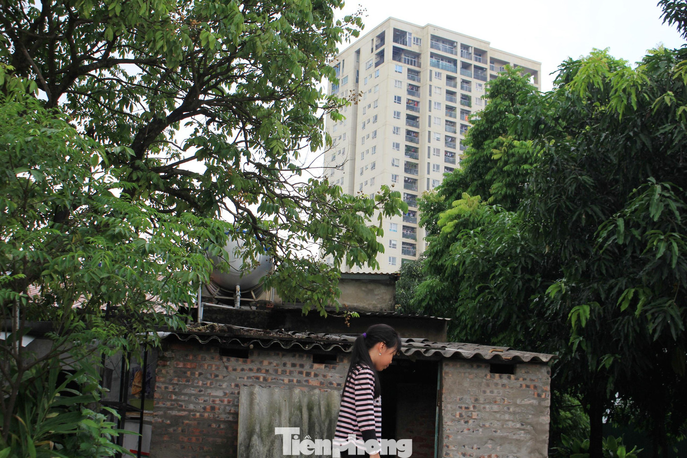 Lo rằng sau này, khi chúng tôi “về cội” mà dự án vẫn không có tiến triển, thì thế hệ các con, các cháu tôi và người trẻ ở khu tập thể này bao giờ mới hết cảnh sống trong những căn phòng xập xệ”…bà Vân nói thay cho nỗi lòng các hộ dân tại Tổ dân phố Nhuệ Giang. Lo rằng sau này, khi chúng tôi “về cội” mà dự án vẫn không có tiến triển, thì thế hệ các con, các cháu tôi và người trẻ ở khu tập thể này bao giờ mới hết cảnh sống trong những căn phòng xập xệ”…bà Vân nói thay cho nỗi lòng các hộ dân tại Tổ dân phố Nhuệ Giang.